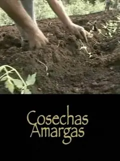 《苦涩的收获》：一场关于爱与失去的治愈之旅，触动你内心最柔软的地方。